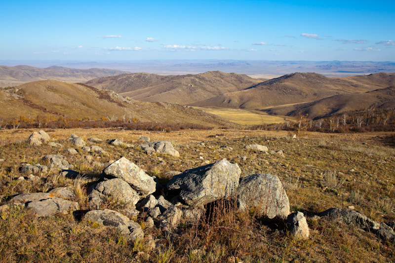 Looking Across The Steppe